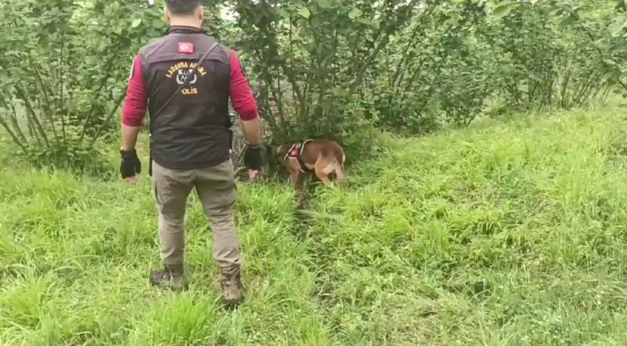 Film sahnesi gibi tasarlanmış cinayet: Ev kiralayıp bahçeye gömmüşler - 1. Resim