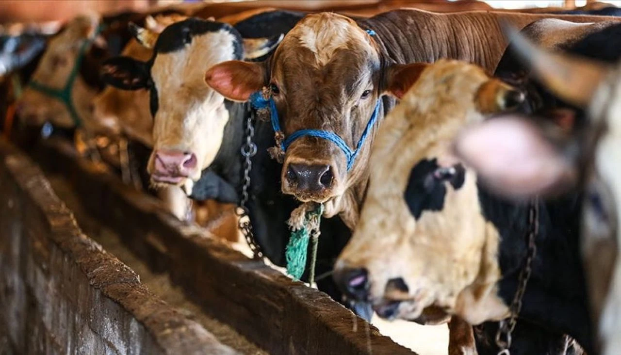 Kurban Bayramı namazı İstanbul Esenyurt ve Küçükçekmece ilçelerinde 06.13’de kılınacak - 1. Resim