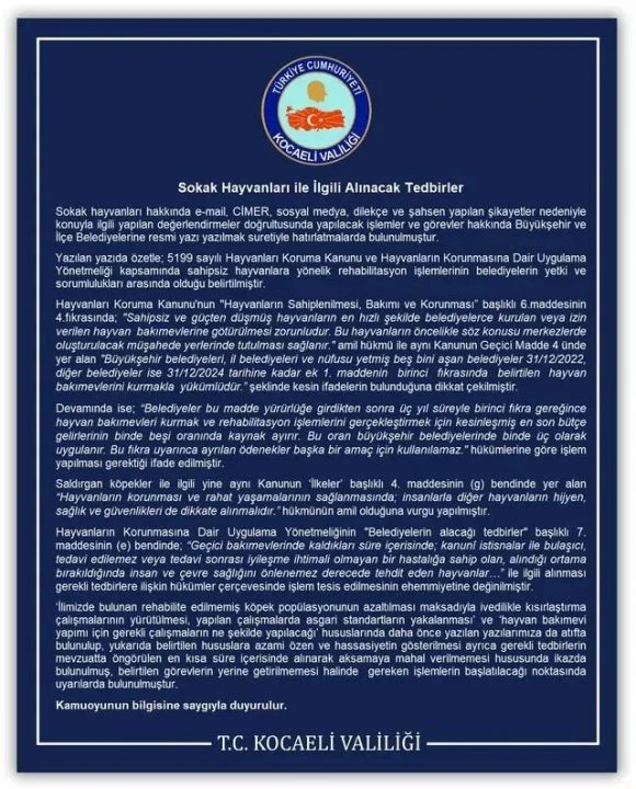 Sokak köpekleri için belediyelere yazı! "En az acı veren ve en hızlı şekilde ölüm..."