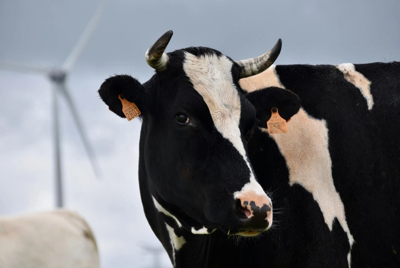 Bayram namazını Konya Kulu ilçesi 06.00’da, Ilgın ilçesi 06.07’de kılacak