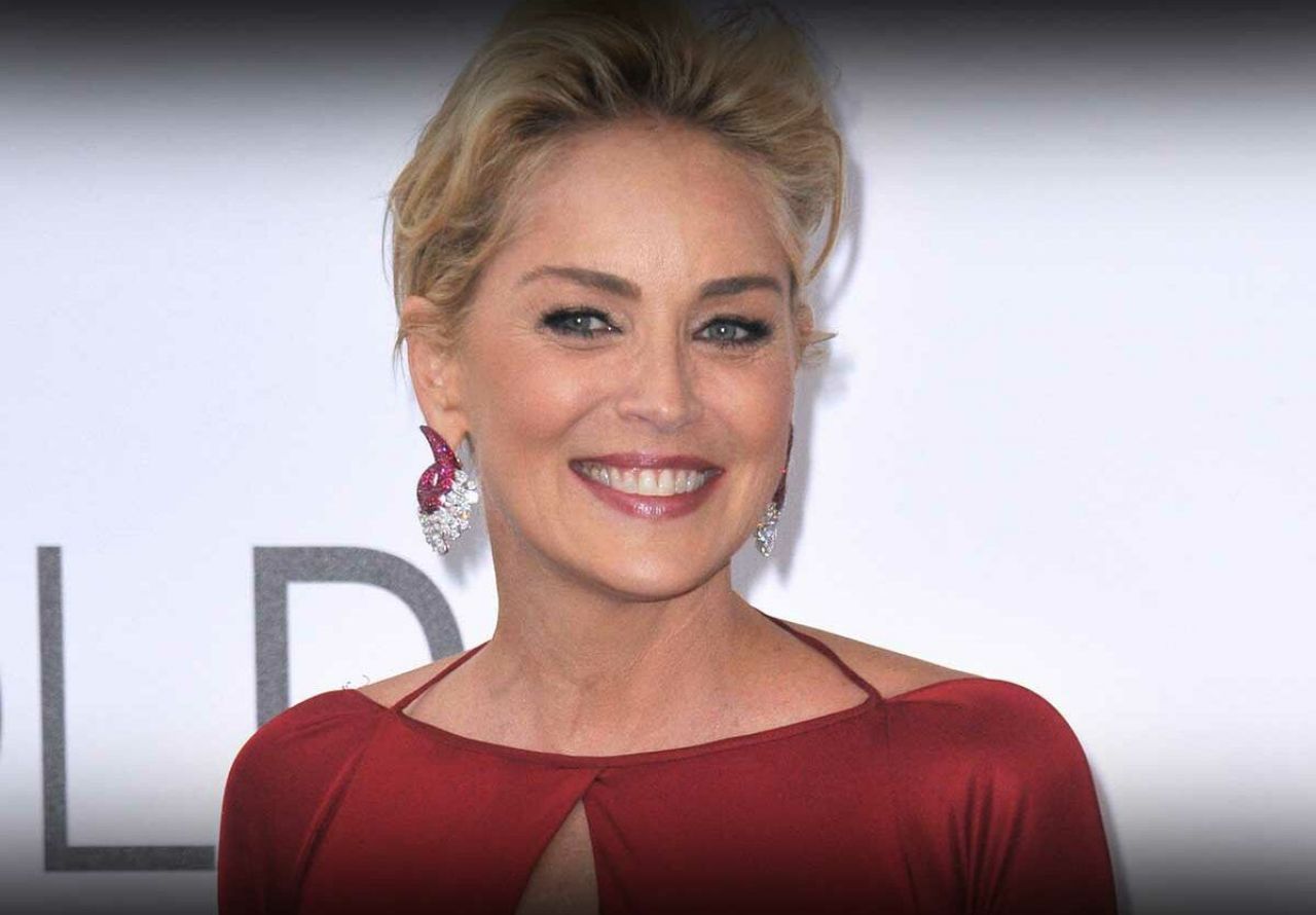 Dünyaca ünlü oyuncudan Kurtlar Vadisi itirafları! Sharon Stone, Necati