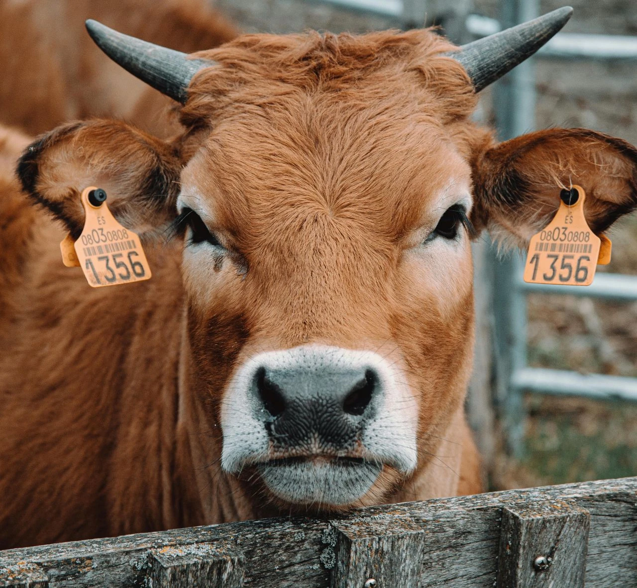 Kurban Bayramı’nda Bursa İnegöl ilçesi 06.12’de, Gemlik ilçesi 06.13’de, Mudanya ilçesi 06.14’de bayram namazını kılacak