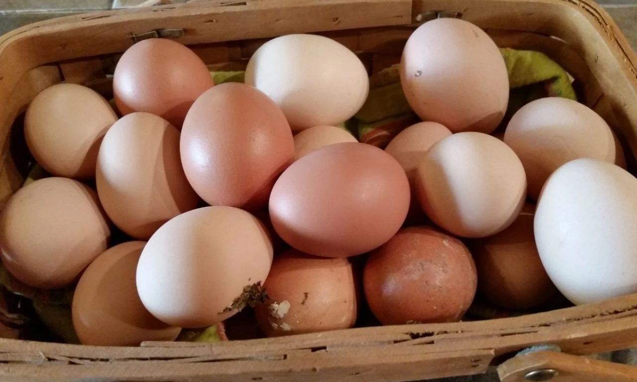 Nisan ayı zam şampiyonu belli oldu! Otobüs yolculuğu tüm fiyat artışlarının önüne geçti