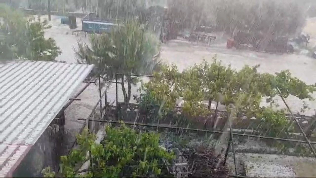 Mayıs ayında yağan dolu üreticiyi vurdu