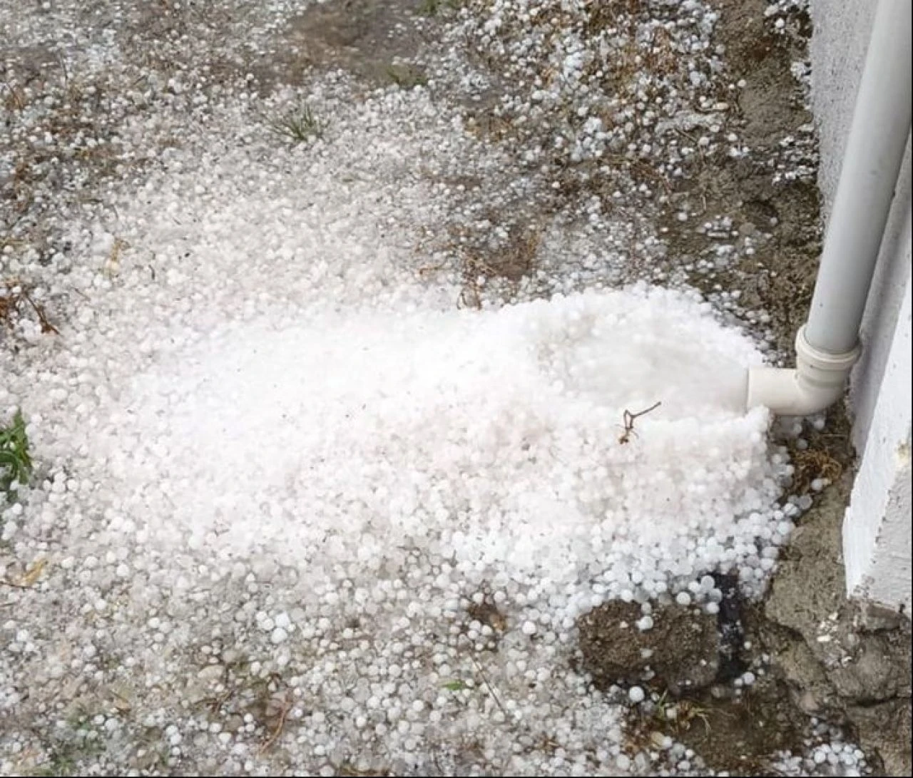 Mayıs ayında yağan dolu üreticiyi vurdu