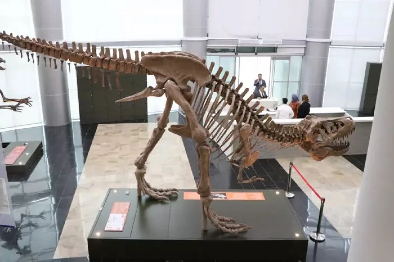 Milyonlarca yıllık fosiller sergilenecek! Biyoçeşitlilik bilim müzesi açılışa hazırlanıyor - 2. Resim