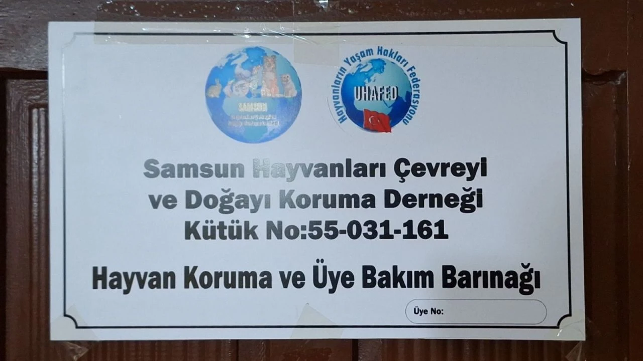 Çevreyi korumak için kurulan dernekte horoz dövüştürdüler - 2. Resim