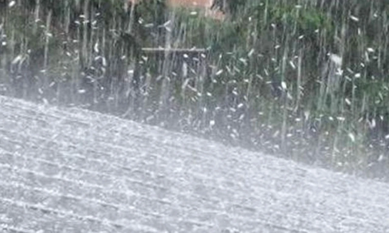 Dolu bir anda vurdu, tarım arazileri mahvoldu