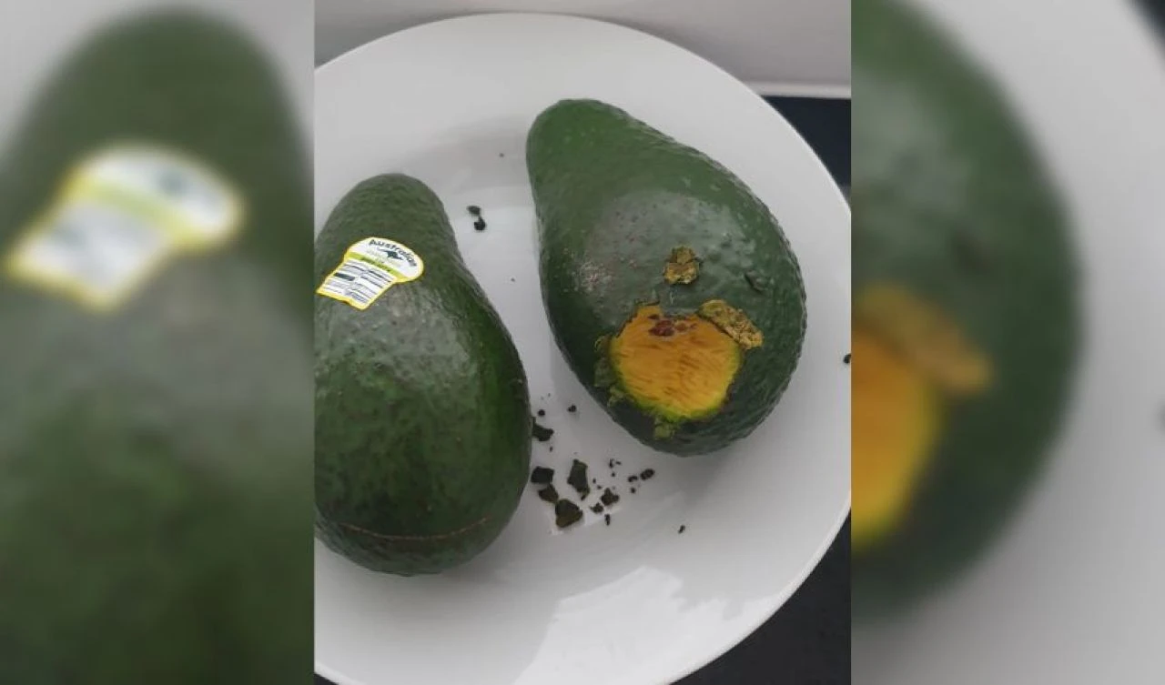 Mutfağındaki korkutucu olayların nedeni ortaya çıktı! Gerçek bambaşkaymış