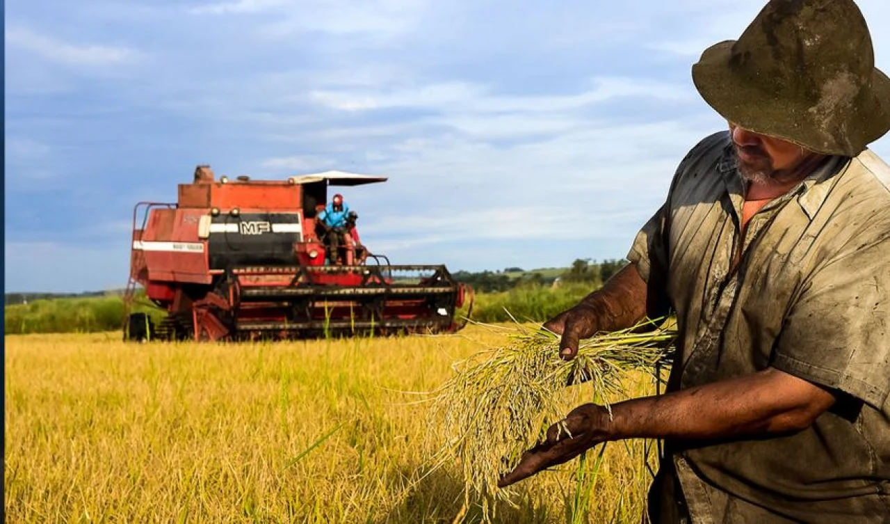 Altın, petrol, kakao düştü, piyasalarda rüzgar tersine döndü - 2. Resim
