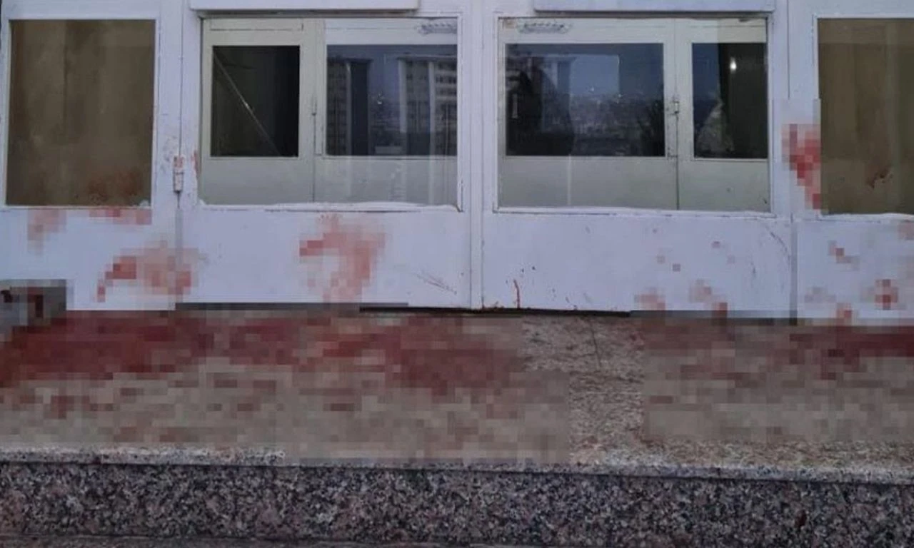 Başıboş köpek dehşeti kamerada! Yavru köpeği ve kediyi parçaladılar