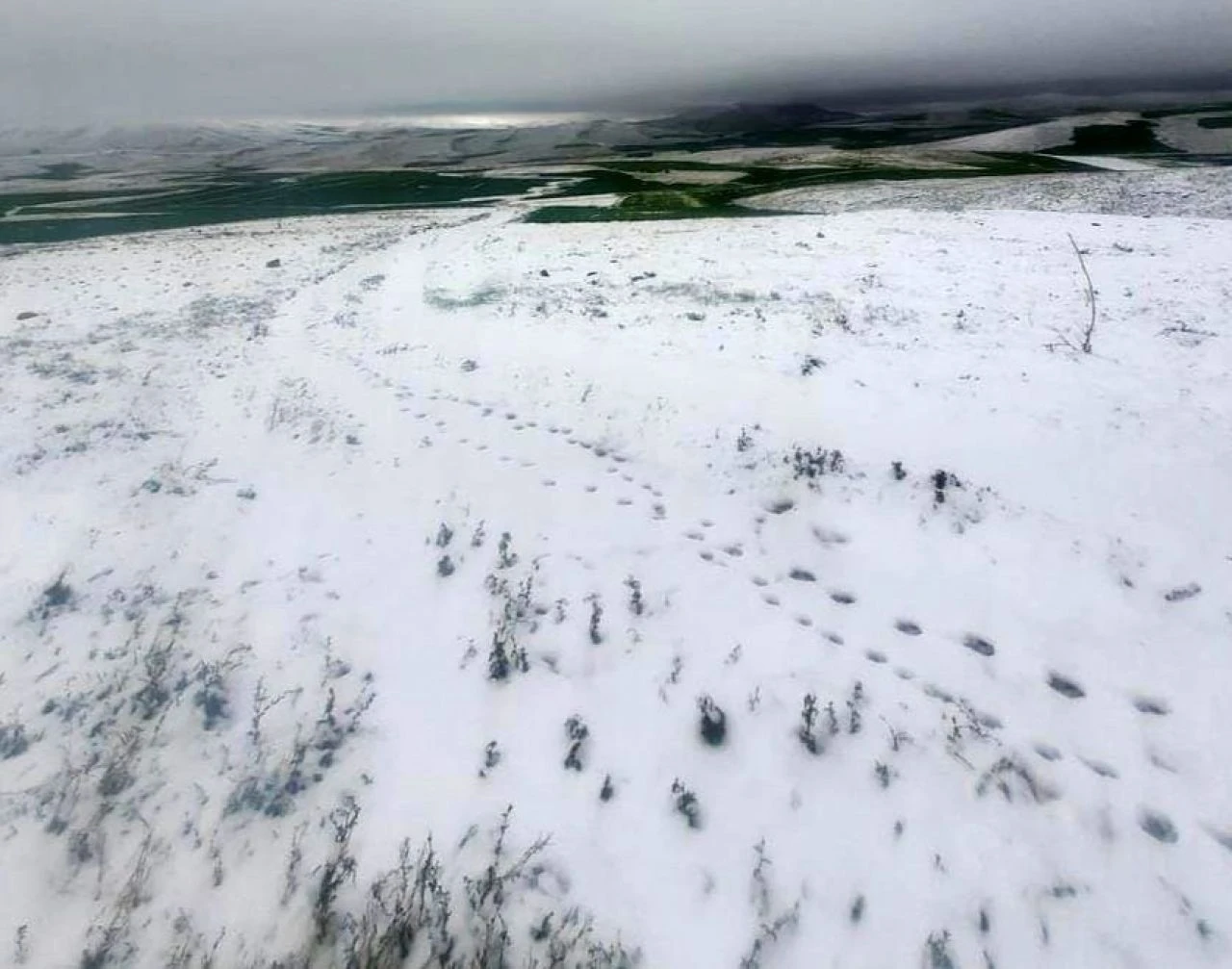 Mayıs ayında kar sürprizi! Her yer bembeyaz oldu