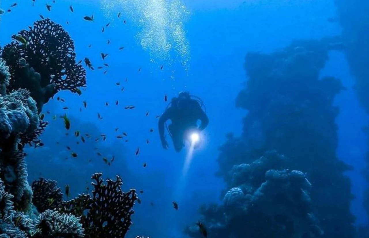 Kızıldeniz'de tüyler ürpertici keşif! Deprem ve tsunami detayı - 1. Resim