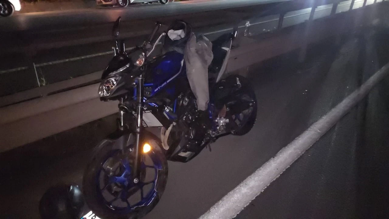 Zonguldak'ta yola fırlayan tilki yüzünden zincirleme kaza: 6 yaralı var