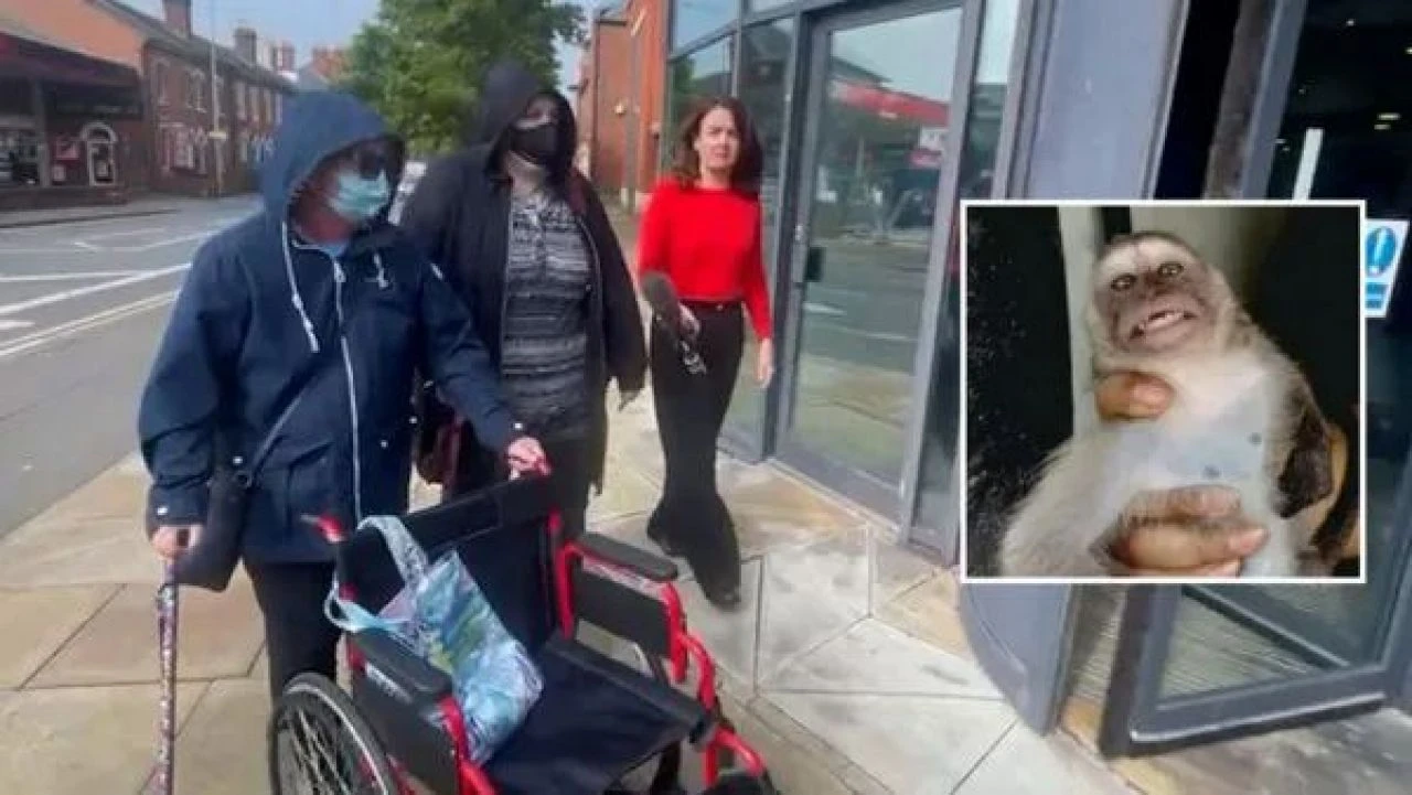 Dehşete düşüren olay: Canlı hayvanları işkenceyle öldürten şebeke yakayı ele verdi