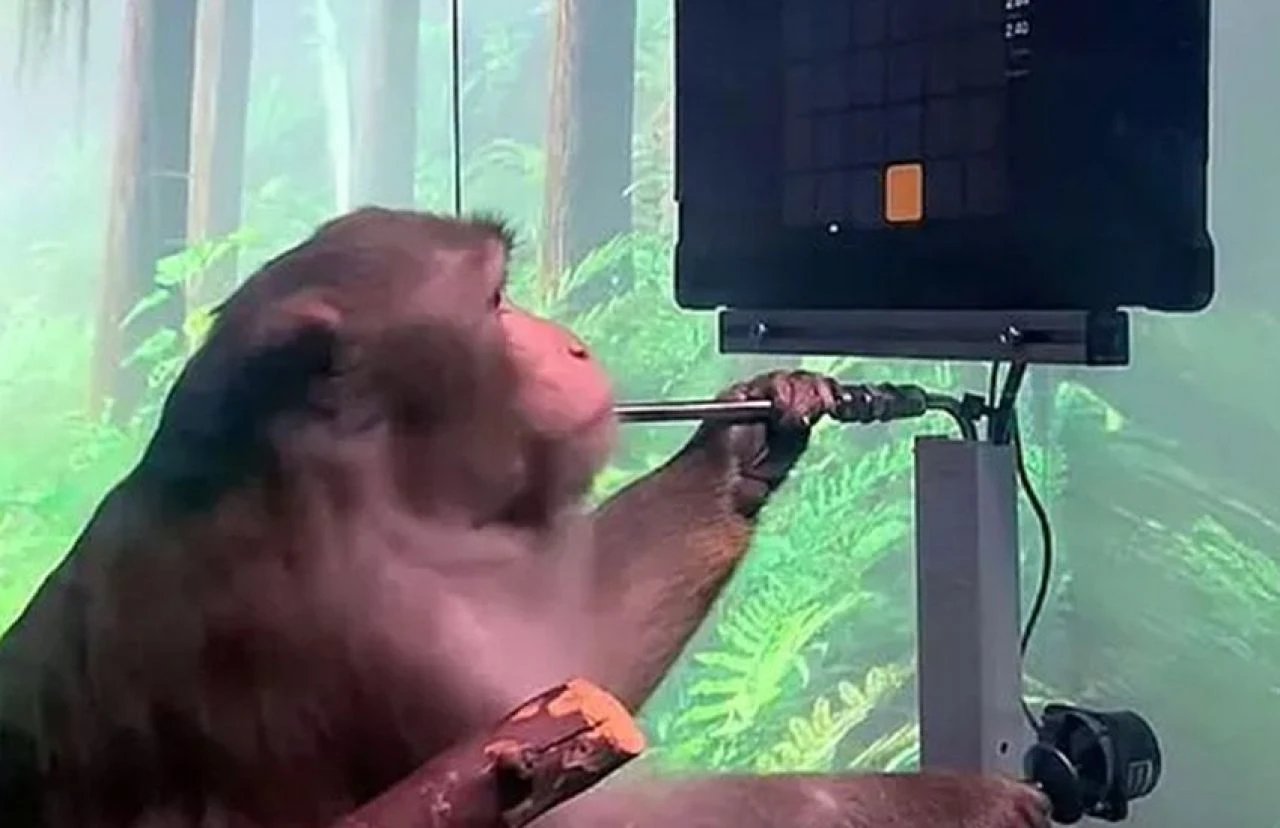 'Korku imparatorluğu'nda şoke eden gelişme! Elon Musk'ın gözdesi Neuralink'ten istifa etti