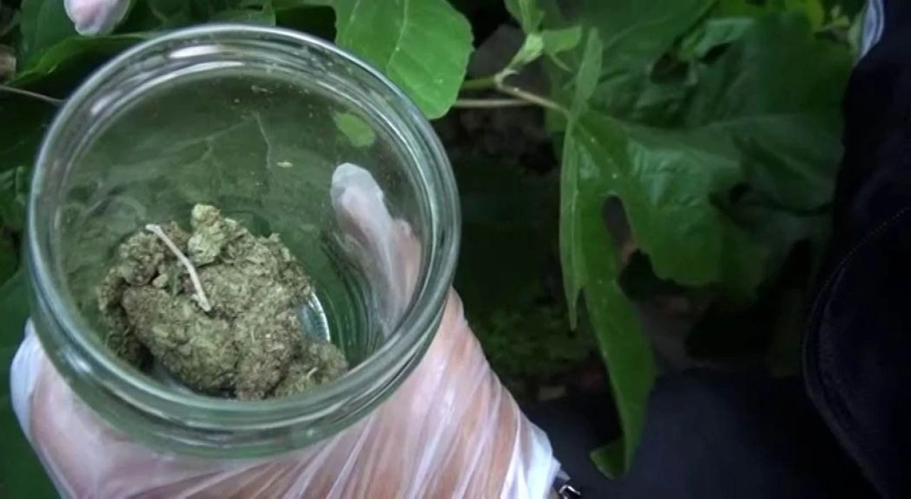 Evinde uyuşturucu bulunmuştu! Şarkıcı Kalben yurt dışı yasağı ile serbest bırakıldı