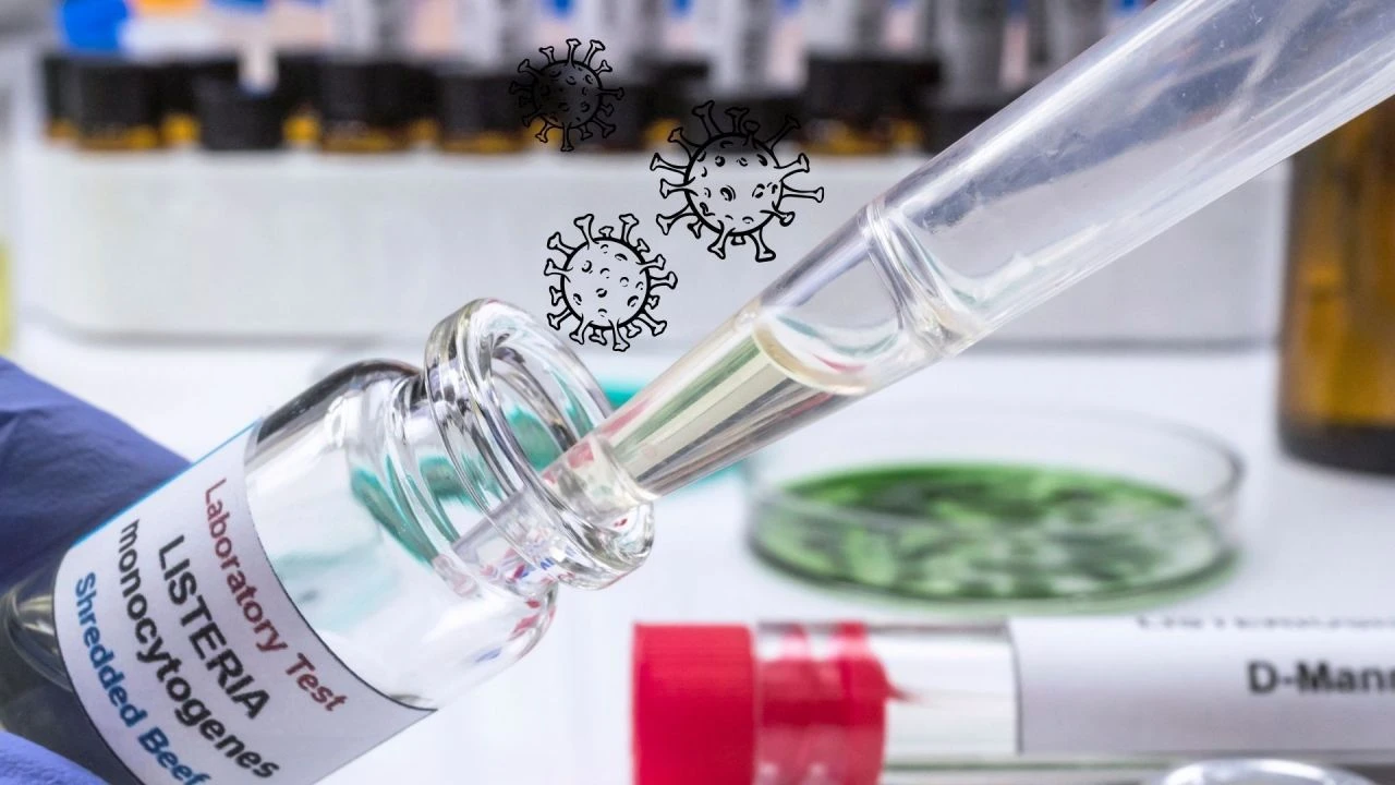 Kıyma ve taze cevizde koli basili bakterisi tespit edildi! Bilim insanlarından bağırsak canavarı uyarısı