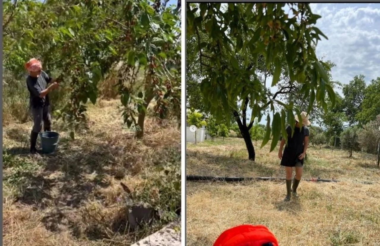 Siyaseti bırakan oyuncu Filiz Taçbaş, yeni mesleğini duyurdu