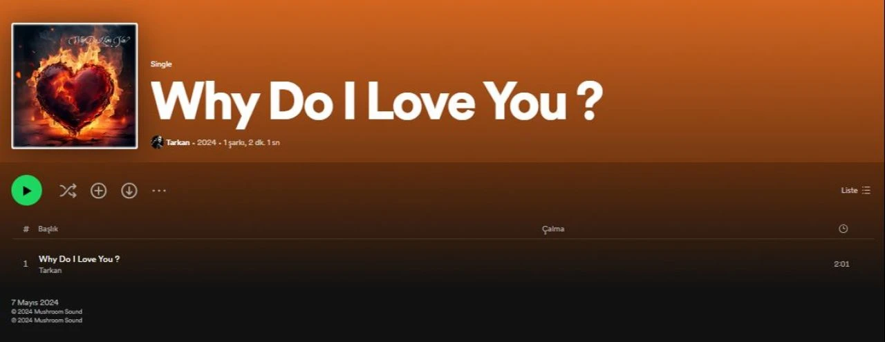 Tarkan'ın Spotify'daki yeni şarkısı kendisine mi ait? Why Do I Love You sözleri