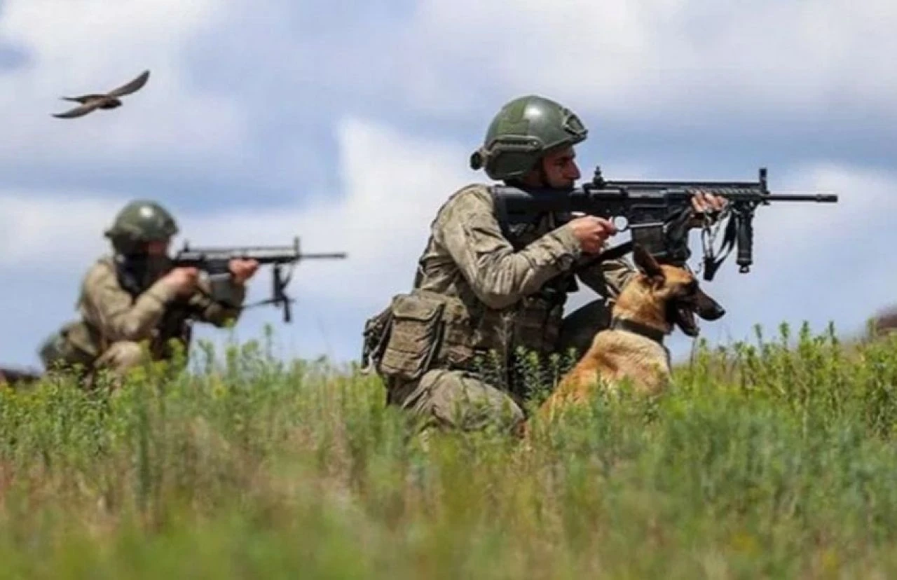 MSB duyurdu: Sınırı geçmeye çalışan 10 şahıs yakalandı - 1. Resim