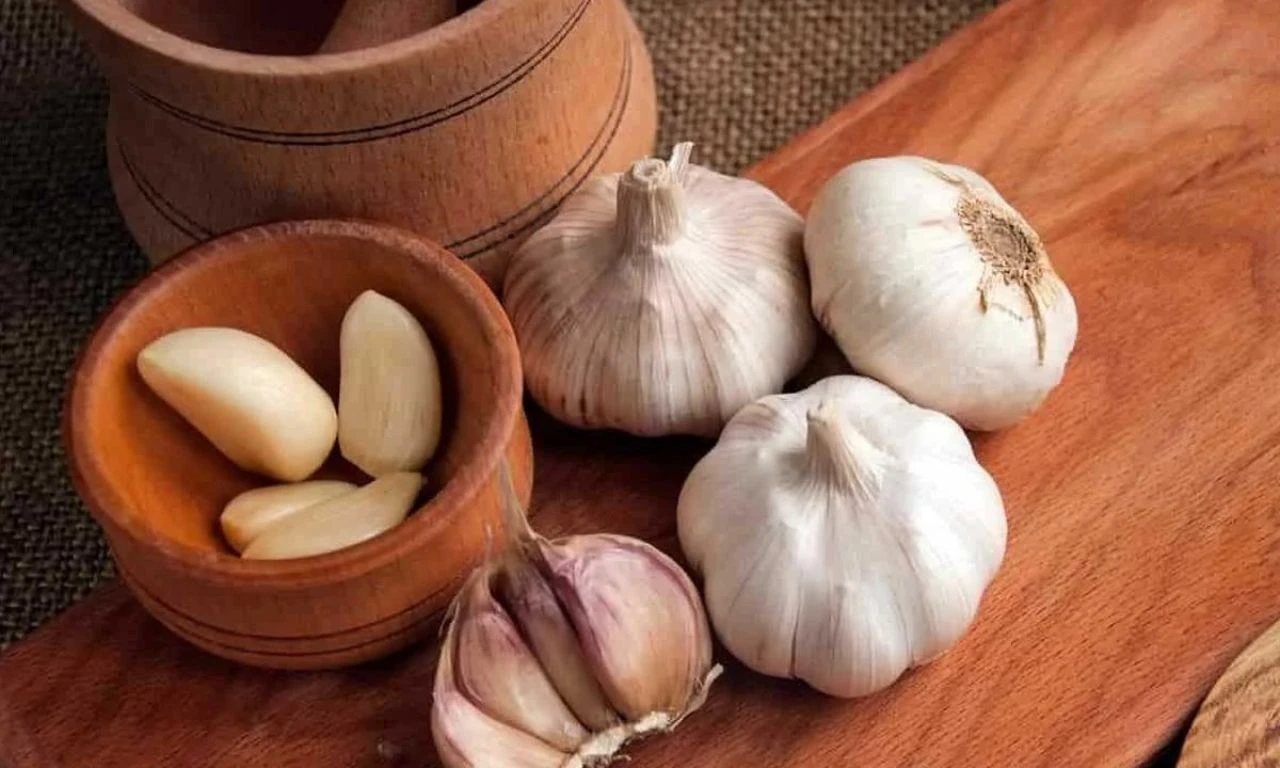 Almanya ve Rusya şifayı Aksaray'da buldu! İlaç endüstrisinin vazgeçilmezi: Sırada Polonya ve Hollanda da var - 4. Resim