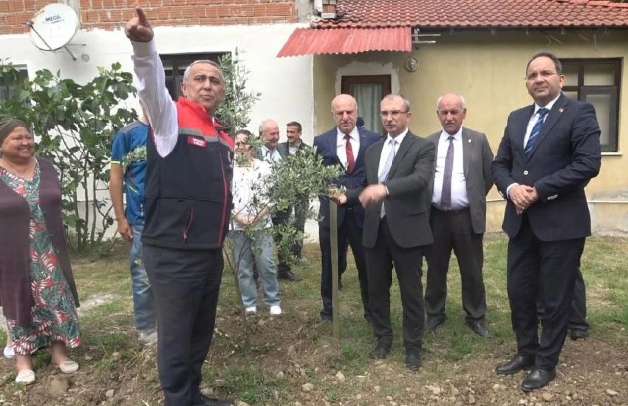 3 çeşitte verim alınacak: Fiyatı artınca bir ilde daha üretim başladı! - 1. Resim