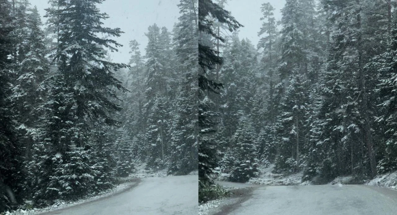Bolu'ya mayıs karı vurdu! Her taraf bembeyaz oldu  - 1. Resim