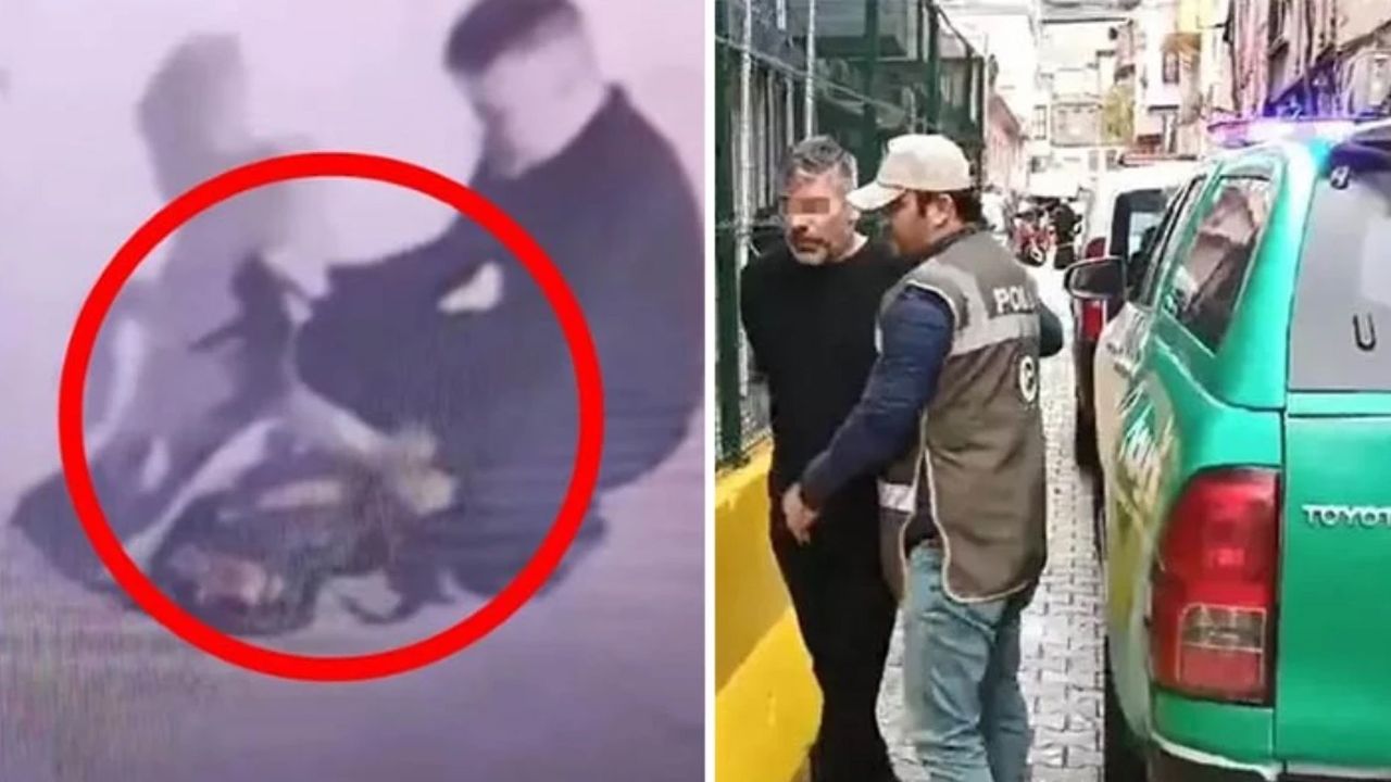 Çantasına koyduğu 9 kediye işkence ederek öldürmüştü: Hapis cezasına çarptırıldı