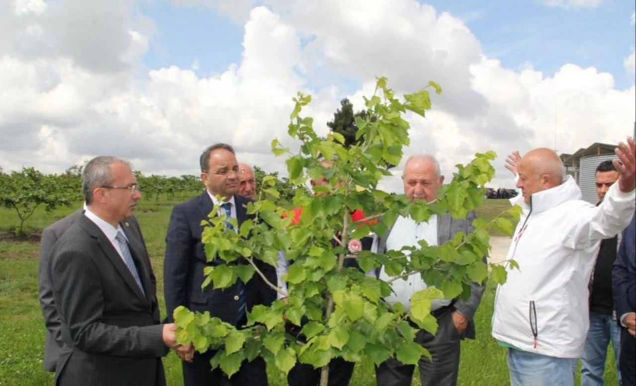 Fındıkta verimi 5 kata çıkaran proje... Modern tarımda yeni dönem 