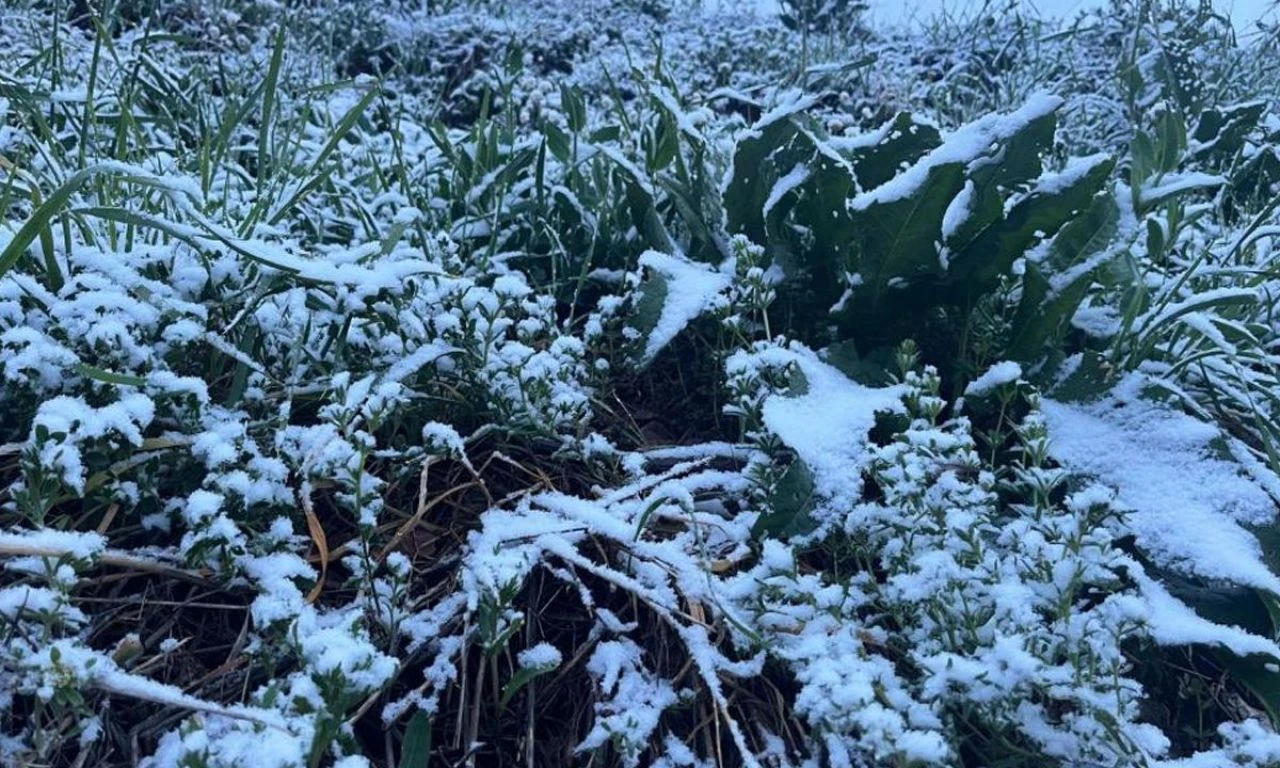 Mayıs ayında kar sürprizi: Her yer beyaza büründü