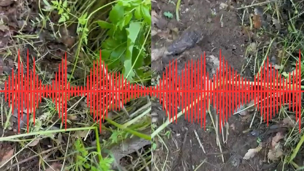 Bingöl'de yerin altında gelen garip seslerin sırrı çözüldü! AFAD'dan tgrthaber.com'a özel açıklama