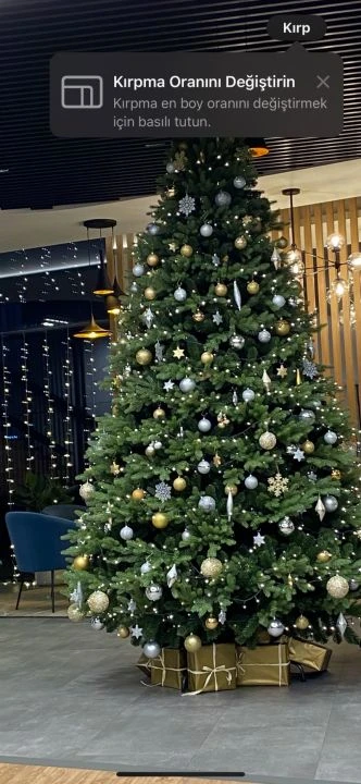 Pek çok kişi bilmiyor: Fotoğraflarınızı tek dokunuşla mükemmel hale getirecek iPhone hilesi!