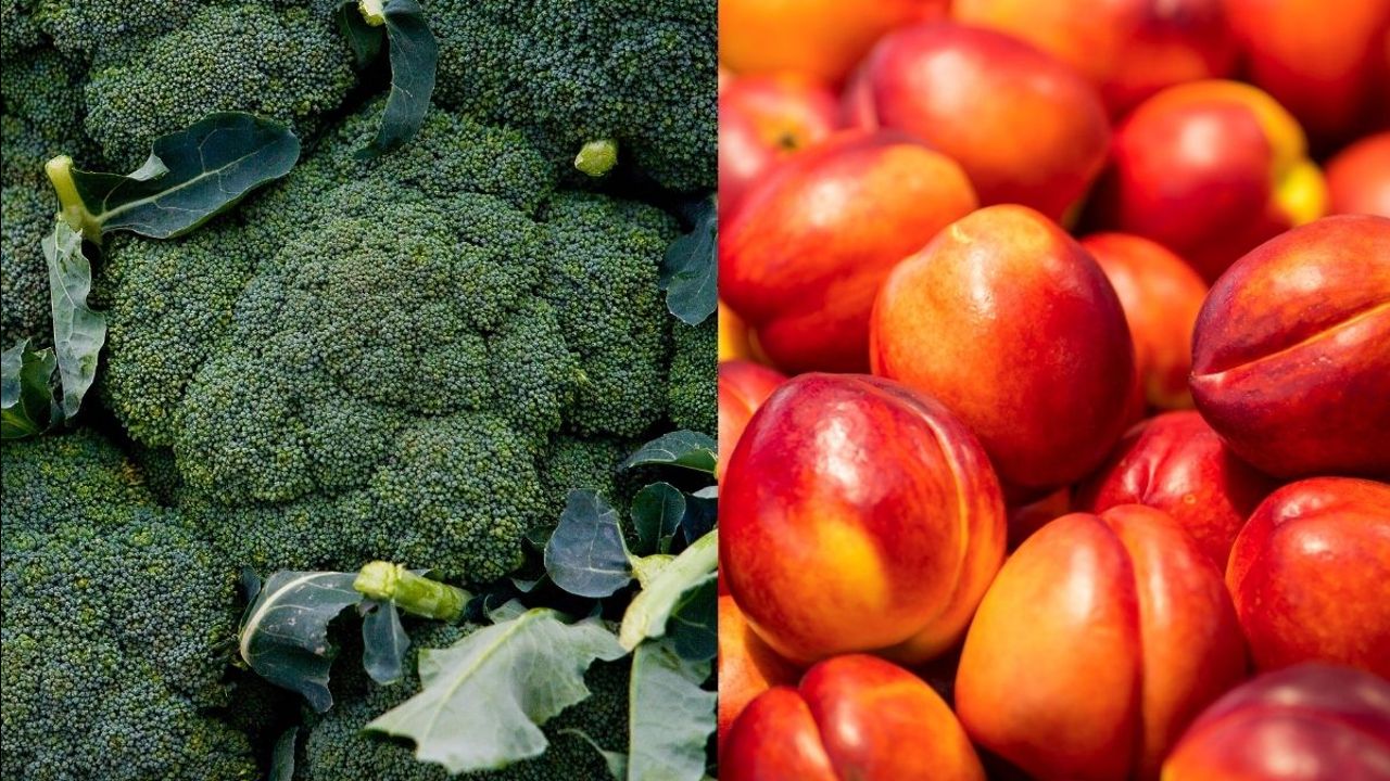 Ticaret Bakanlığı&#039;ndan nektarin ve brokoli kararı! Türk malı imajı güçlendirilecek