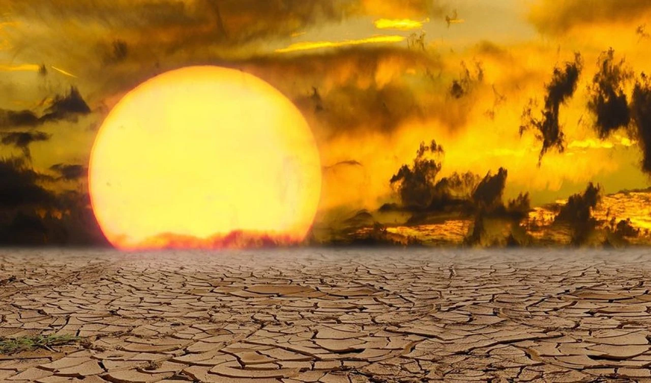 Türkiye yeşil dönüşüme hız verdi! Bakan Şimşek açıkladı, iklim kanunu masada - 1. Resim