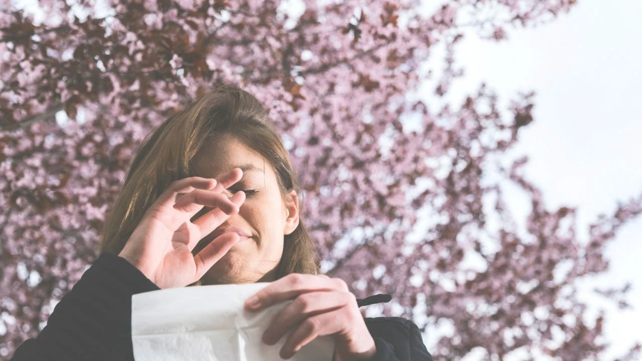 Bahar alerjisi yüzde 30 oranında arttı! Isınmayan havalar, bitmeyen hastalıklara yol açtı - 1. Resim