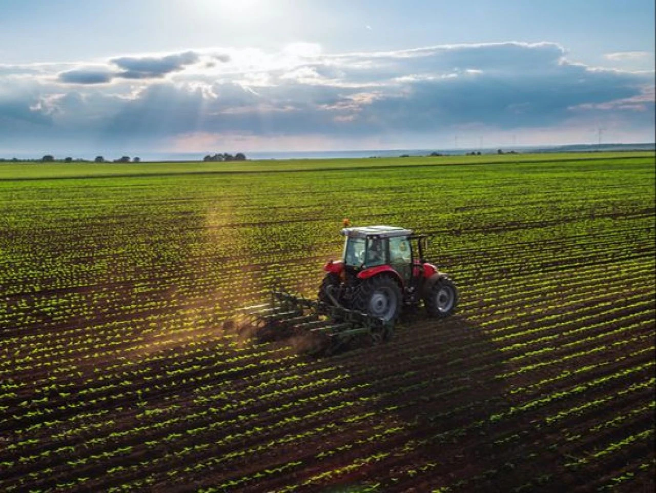 Çiftçilere 72 milyon 554 bin lira tarımsal destekleme ödemesi yapılacak - 1. Resim