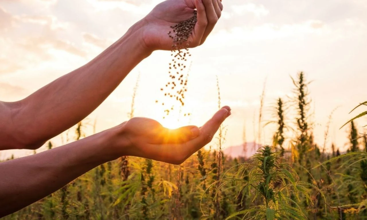 Devletten çiftçilik ve hayvancılık yapanlara destek! Kadınlara ve gençlere ayrıcalık geliyor