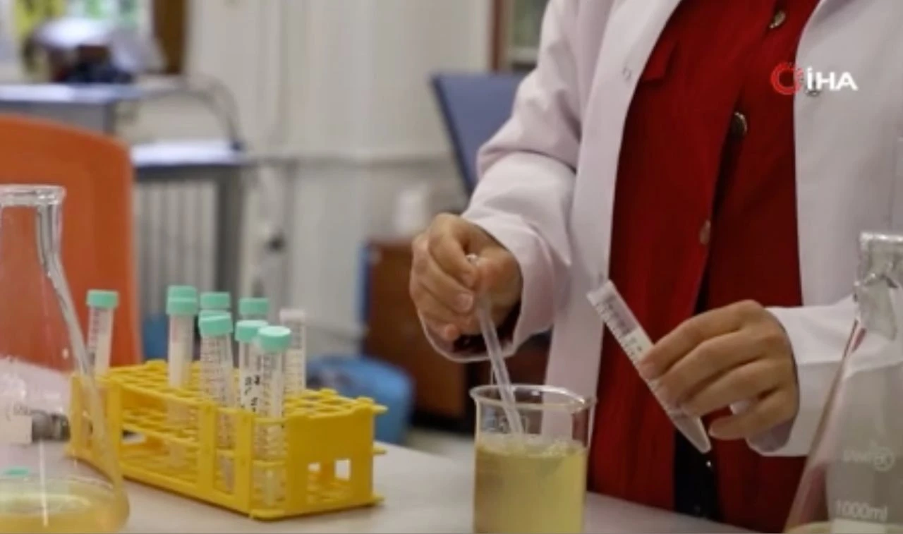 İstanbul'da havadaki partikülleri temizleyip salgınları engelleyen sprey geliştirildi - 5. Resim