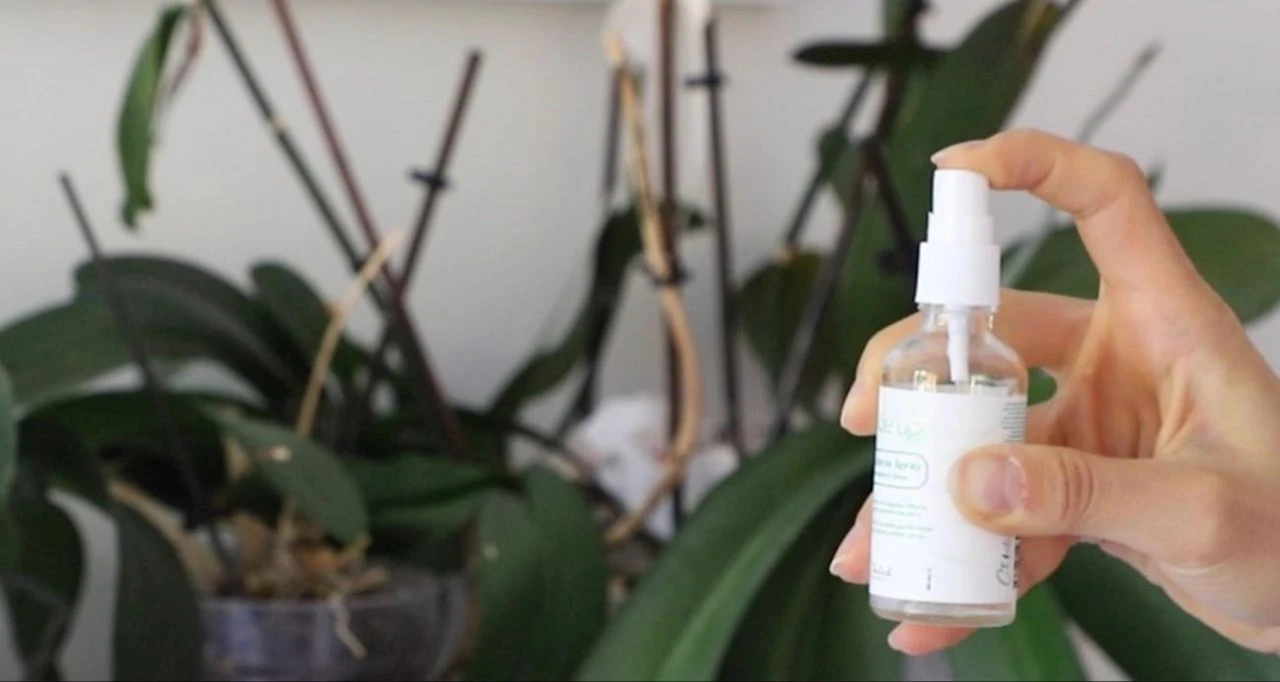 İstanbul'da havadaki partikülleri temizleyip salgınları engelleyen sprey geliştirildi - 1. Resim