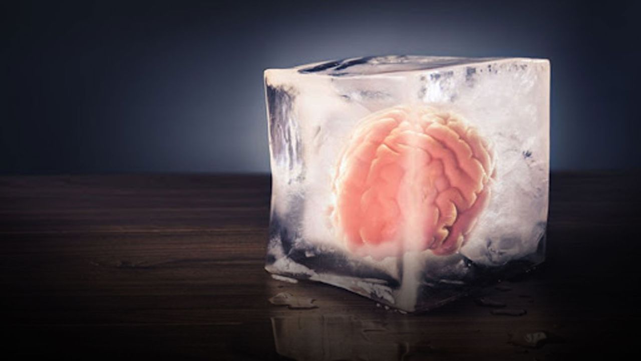 Öldükten sonra dondurulmak isteyenlerin hayali gerçek olabilir: Beyin dokusu işlevini kaybetmedi