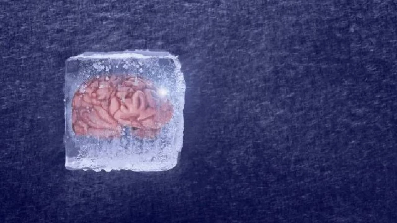 Öldükten sonra dondurulmak isteyenlerin hayali gerçek olabilir: Beyin dokusu işlevini kaybetmedi - 1. Resim