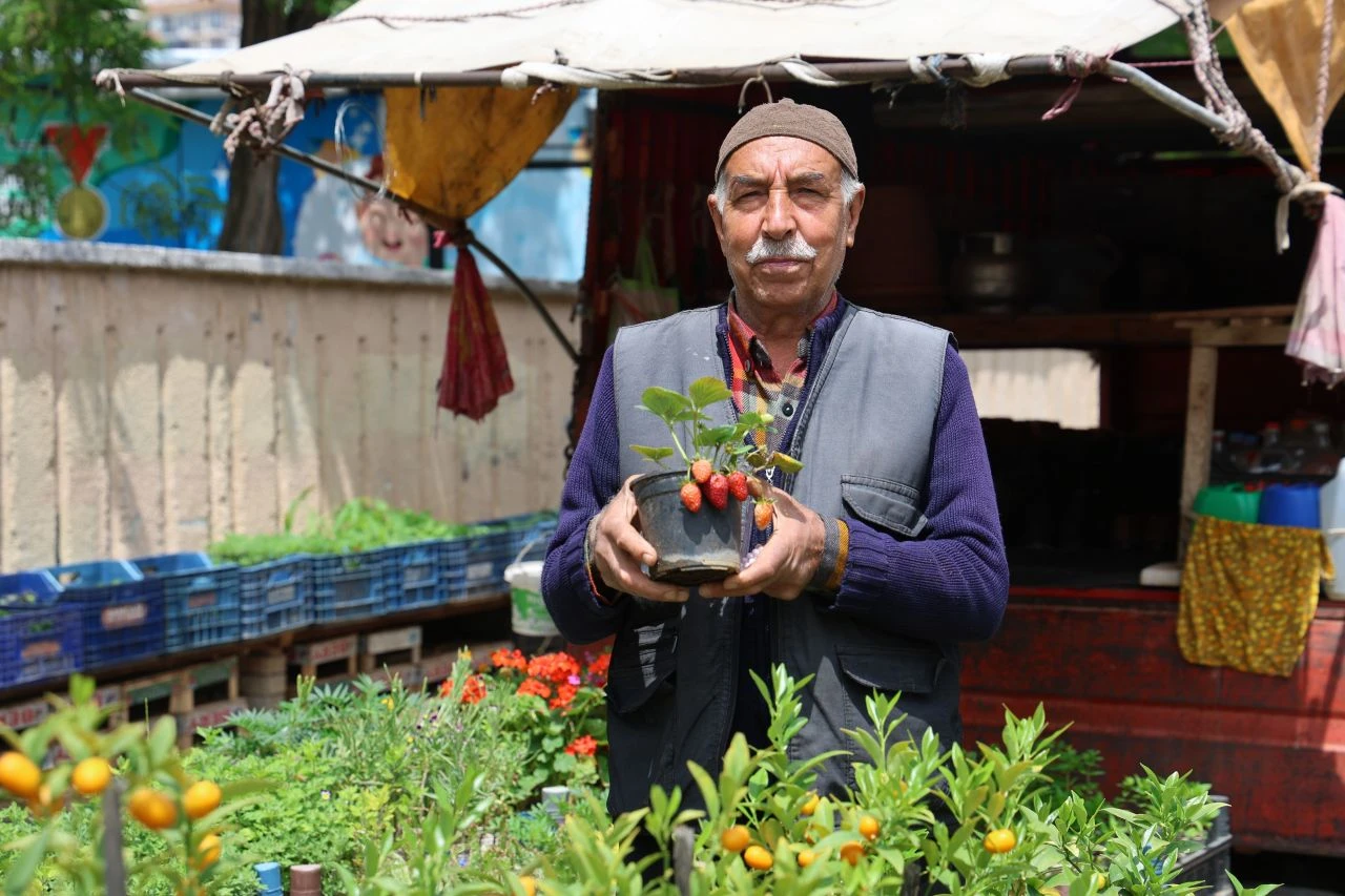 10 yaşında başladı, tam 60 yıldır bitki yetiştiriyor...