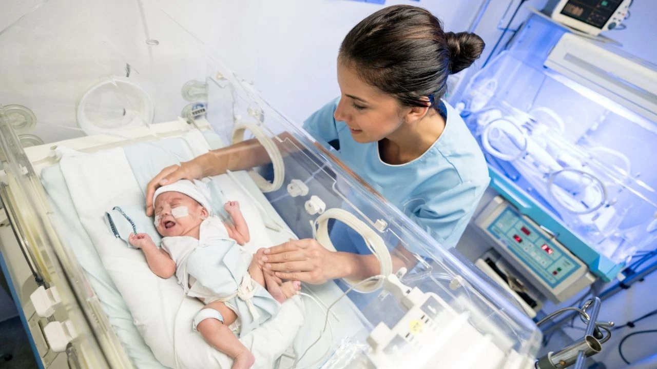 İnsan altın madeniyle doğuyor!  İlk 3 ayda vücudumuz en değerli madenlerle dolu oluyor - 1. Resim