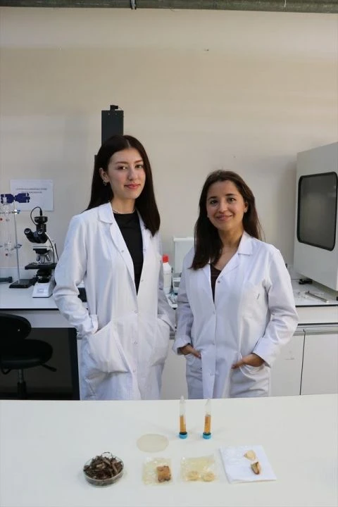 Kahverengi deniz yosunundan ambalaj ürettiler... Çevre dostu, gıda bozulmasını önlüyor