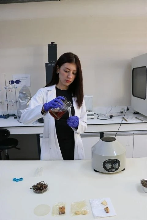 Kahverengi deniz yosunundan ambalaj ürettiler... Çevre dostu, gıda bozulmasını önlüyor