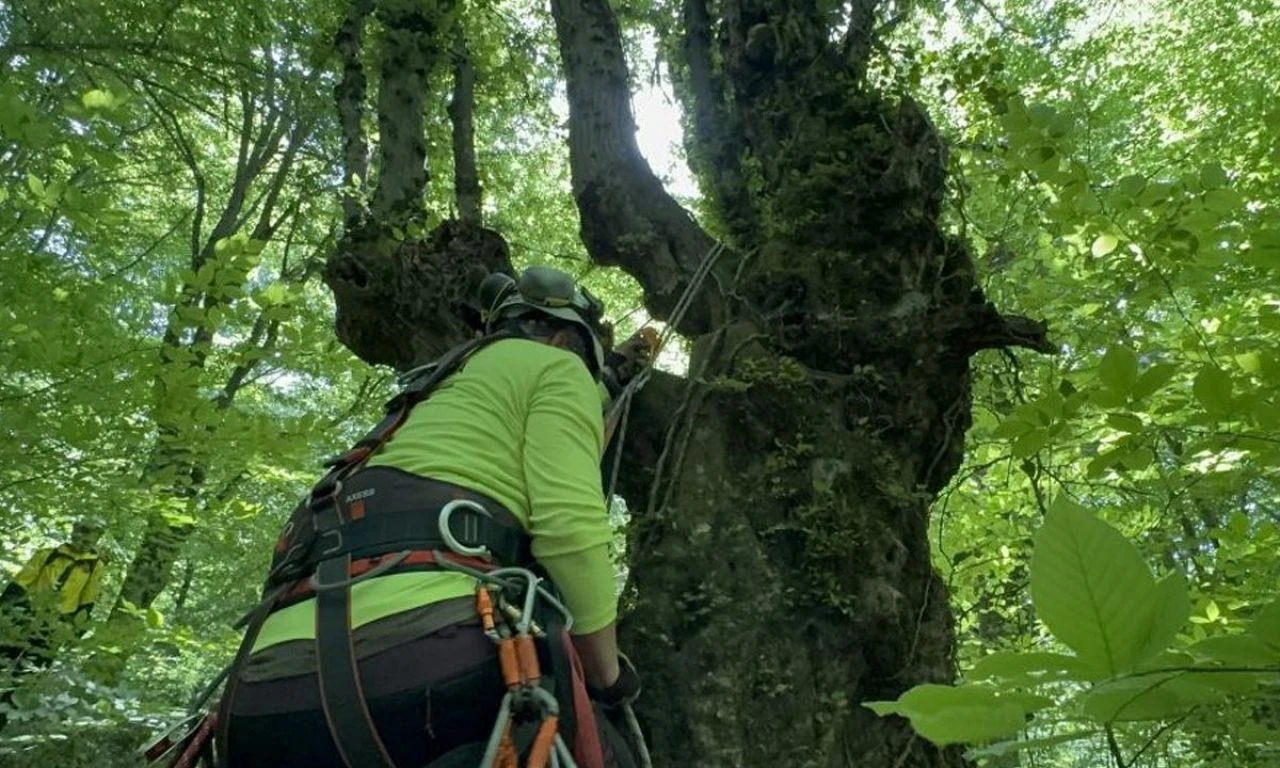 Tatbikat gerçeği aratmadı! Kayboldular, kurtarma çalışması tüm gün sürdü - 3. Resim
