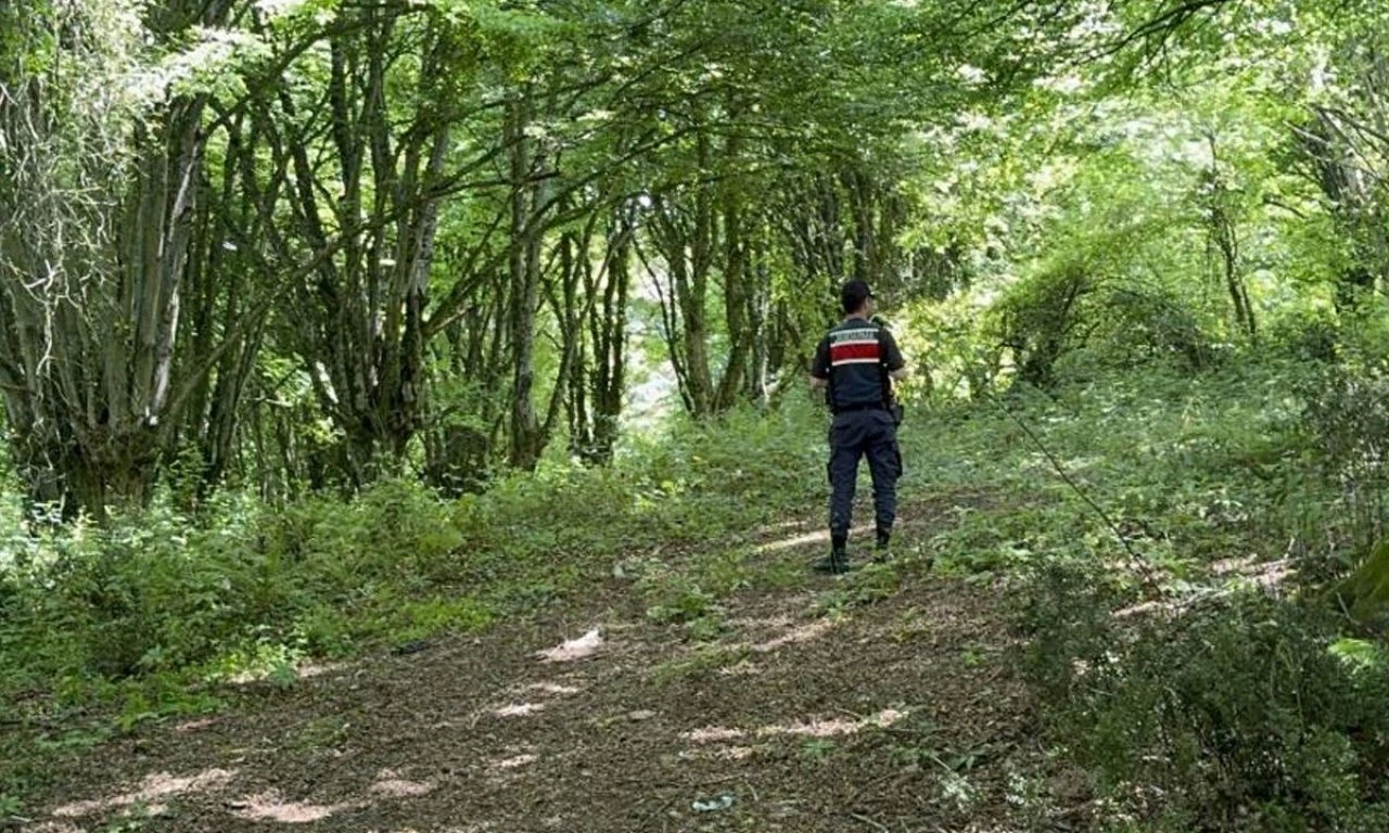Tatbikat gerçeği aratmadı! Kayboldular, kurtarma çalışması tüm gün sürdü - 4. Resim