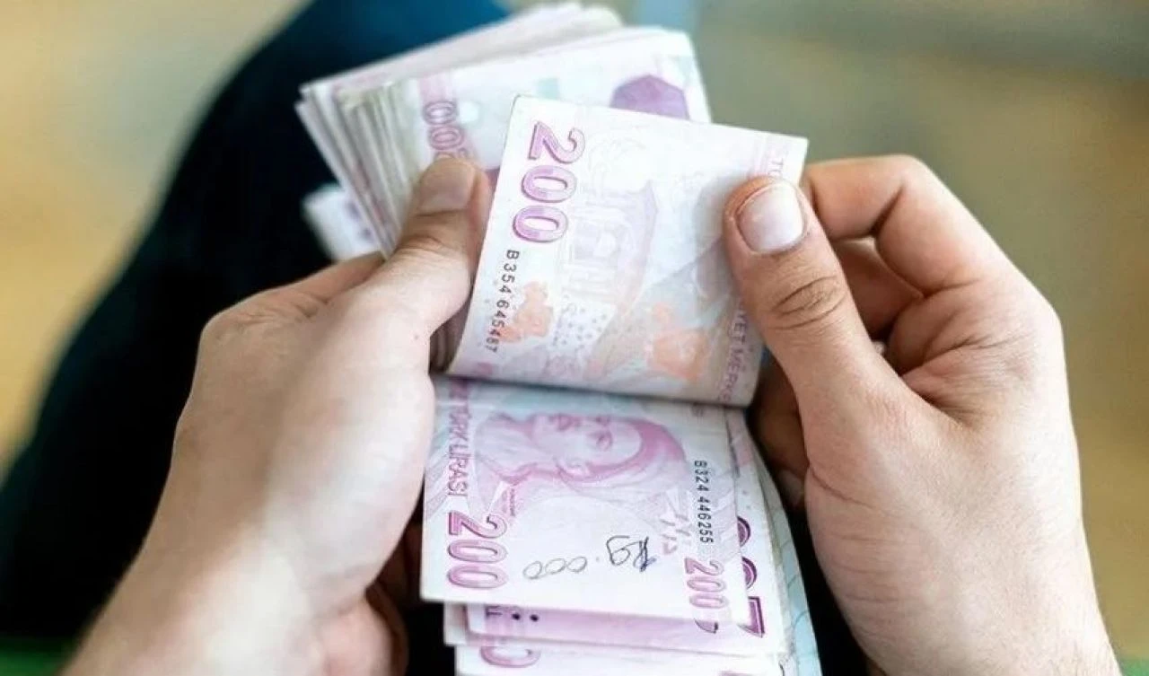 Türk Yatırım Fonu kuruluyor! Sermaye bedeli belli oldu, KOBİ'ler de yararlanacak - 2. Resim