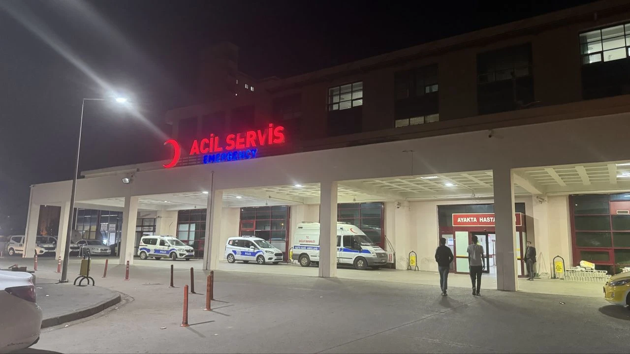 Sahipsiz köpeklerin saldırdığı genç başını kaldırıma çarptı - 1. Resim